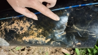 PE管道漏水基本現象